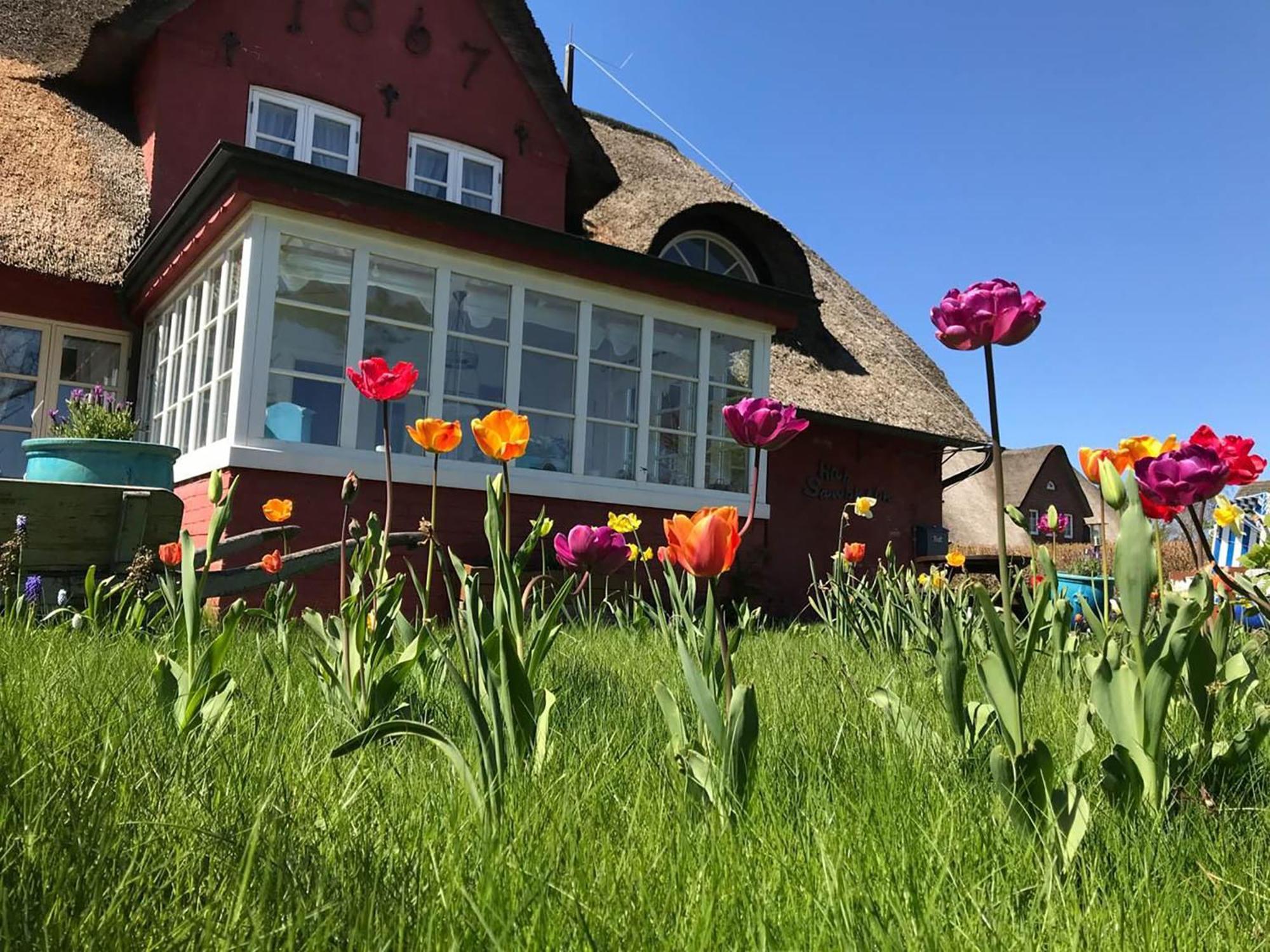 Hues Sanskiin Ferienwohnung *Hopelfask* Suddorf Zewnętrze zdjęcie