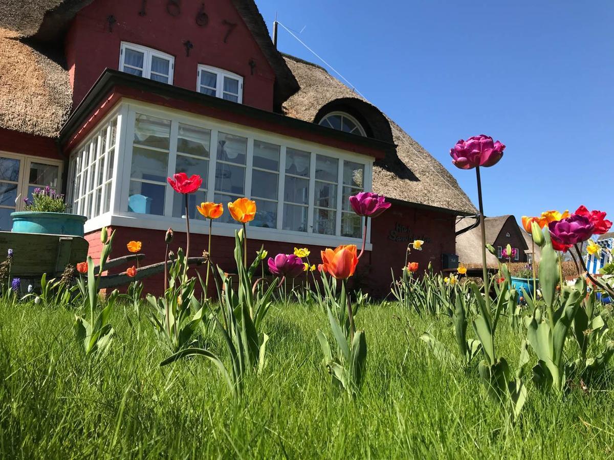 Hues Sanskiin Ferienwohnung *Hopelfask* Suddorf Zewnętrze zdjęcie